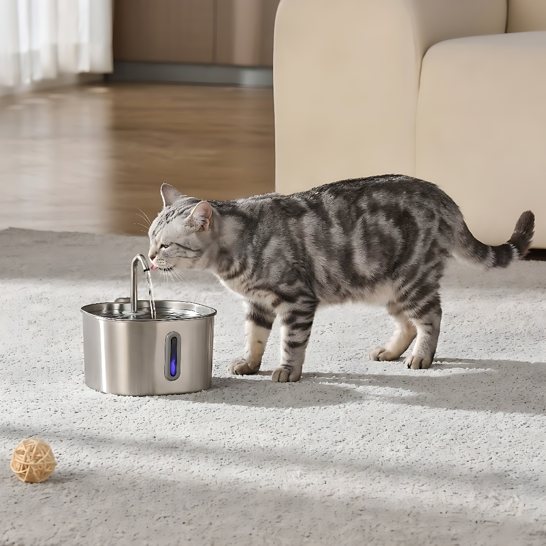 The KittySpout™ - 2.2L Fountain Health and Happiness Kit
