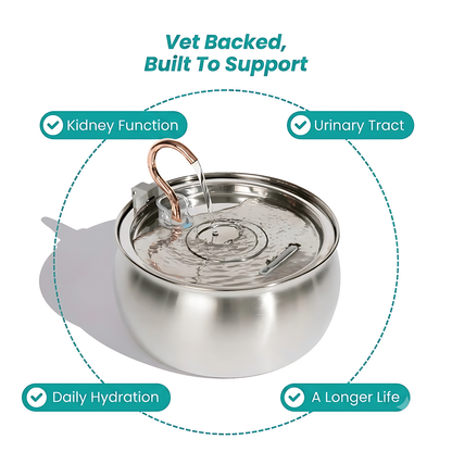 The KittySpout™ - Health & Happiness Cat Kit