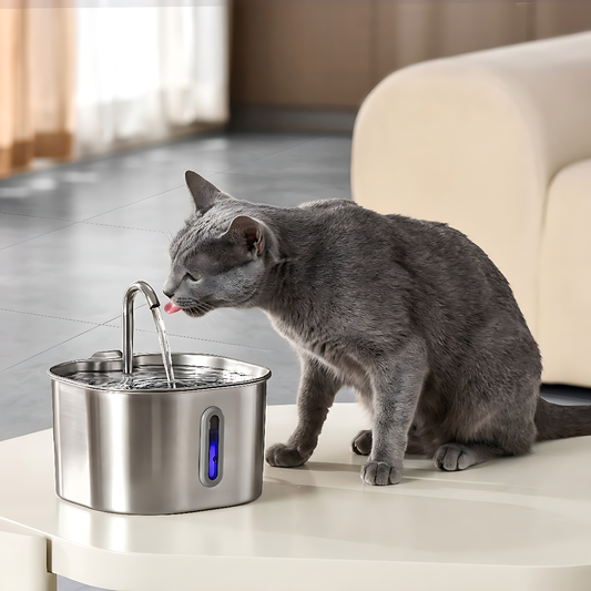 The KittySpout™ - 2.2L Fountain Health and Happiness Kit