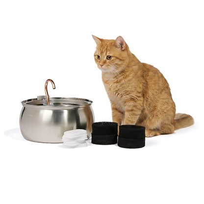 The KittySpout™ - Health & Happiness Cat Kit
