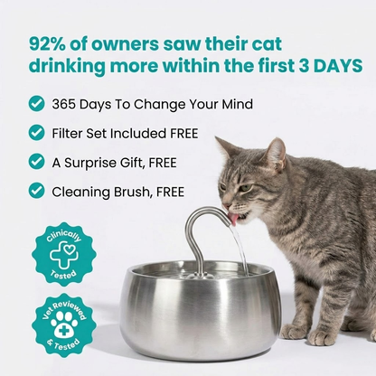 The KittySpout™ - Health & Happiness Cat Kit