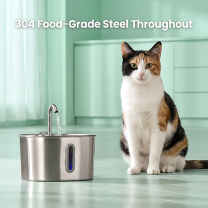 The KittySpout™ - 2.2L Fountain Health and Happiness Kit