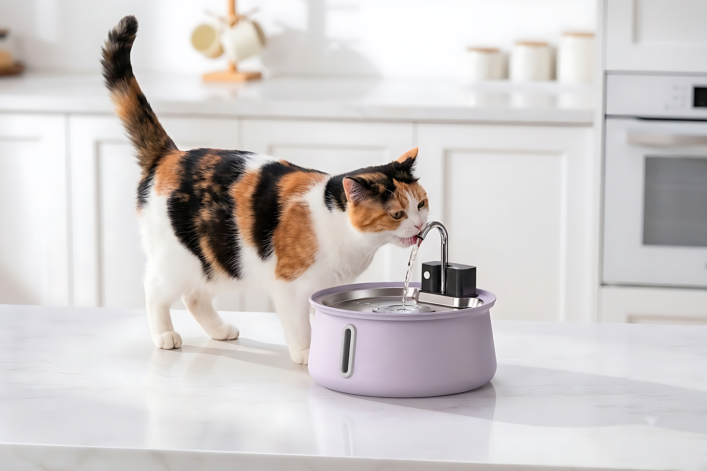 The KittySpout™ - Wireless Fountain 2.0