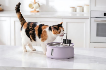 The KittySpout™ - Wireless Fountain 2.0