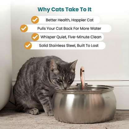 The KittySpout™ - Health & Happiness Cat Kit