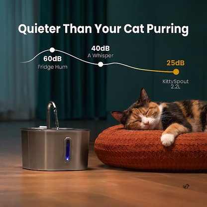The KittySpout™ - 2.2L Fountain Health and Happiness Kit