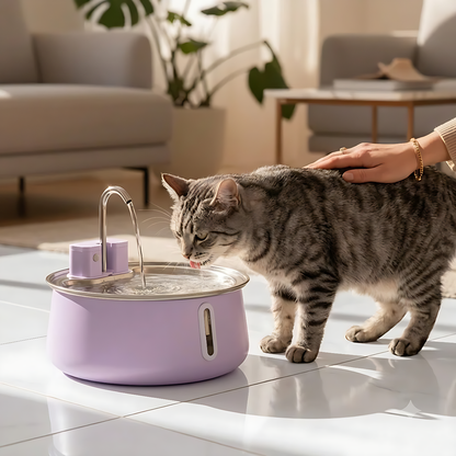 The KittySpout™ - Wireless Fountain 2.0