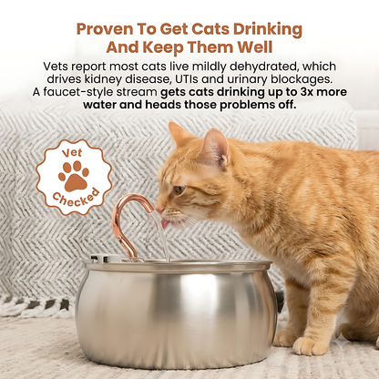 The KittySpout™ - Health & Happiness Cat Kit